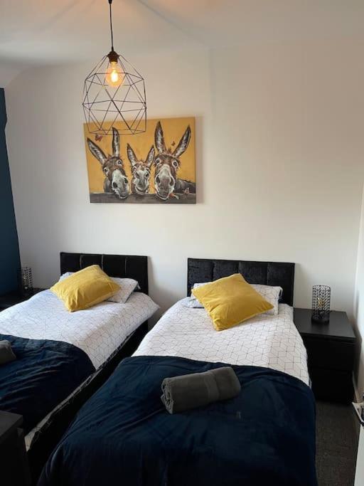 Luxury Accommodation. Воллесі Екстер'єр фото